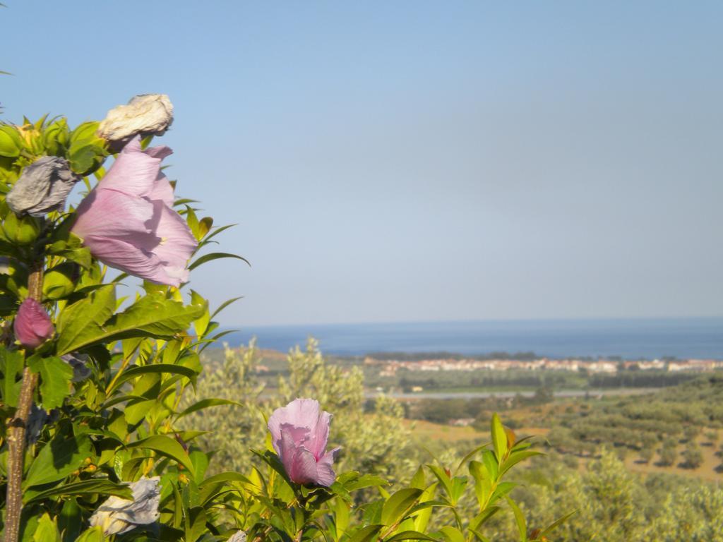 Tenuta Agrituristica Castellesi Squillace Exteriér fotografie